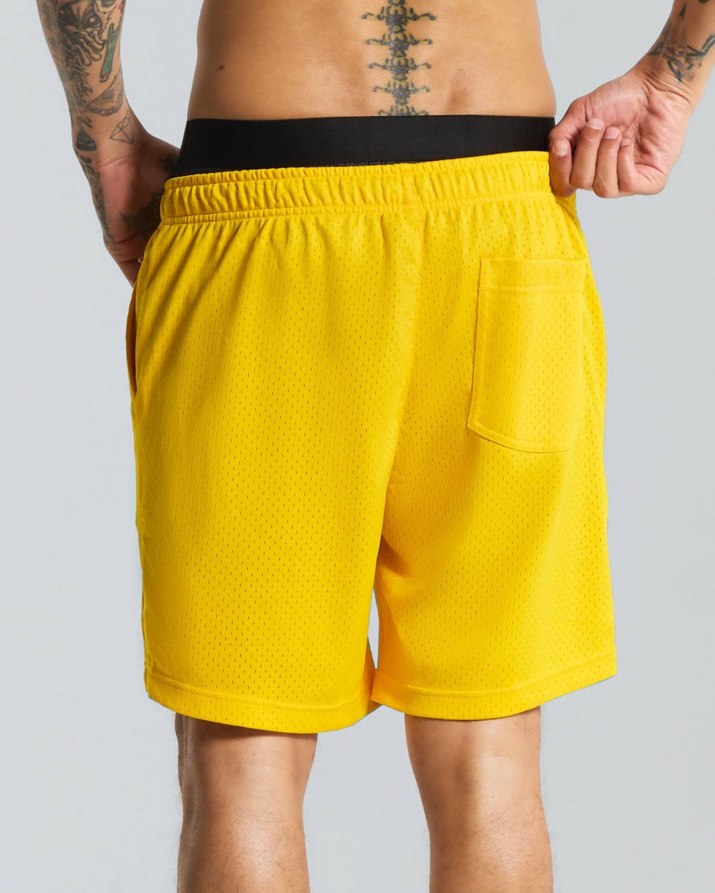 Field Day Shorts
