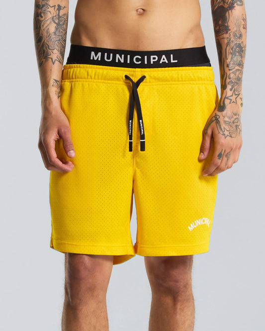 Field Day Shorts