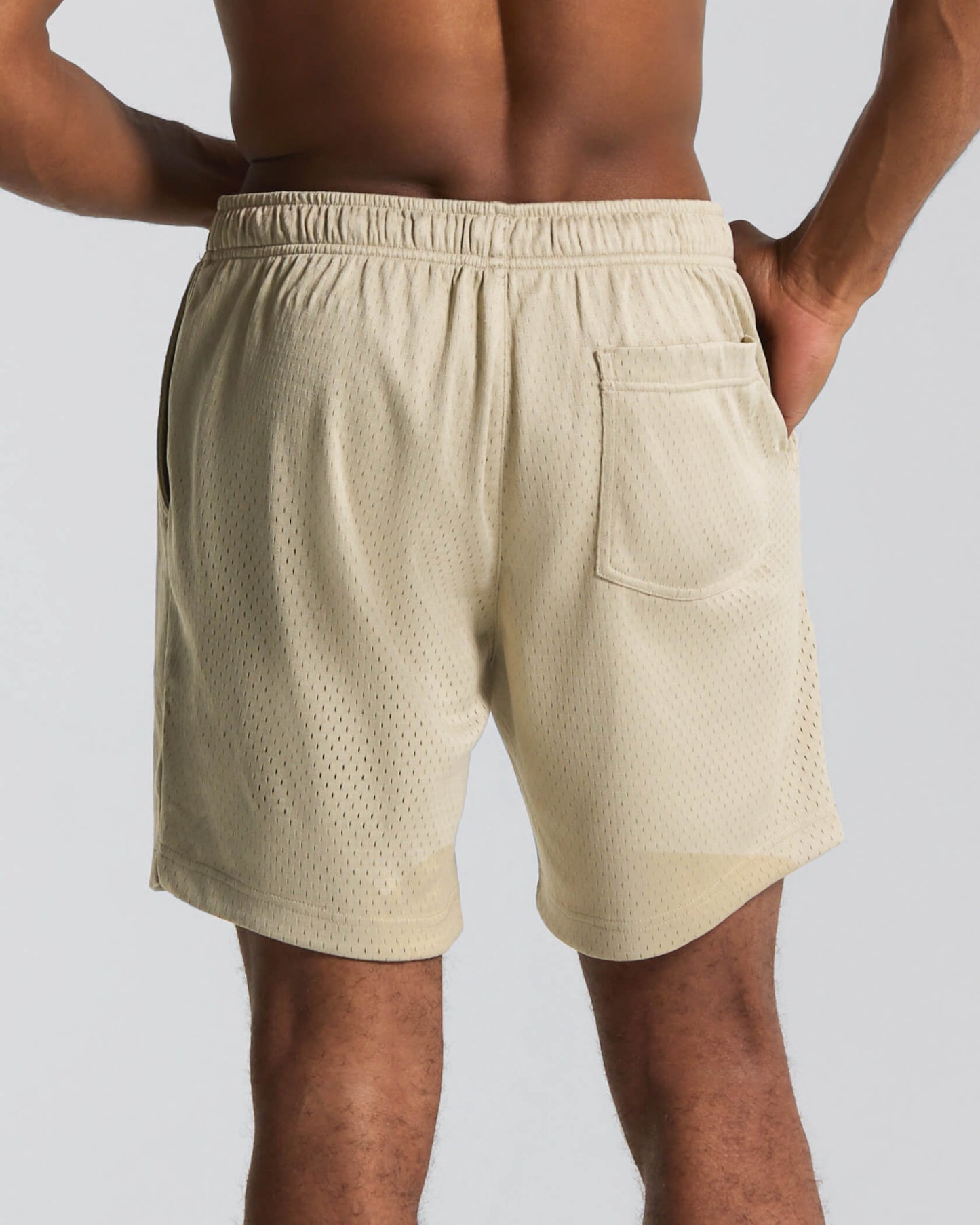 Field Day Shorts