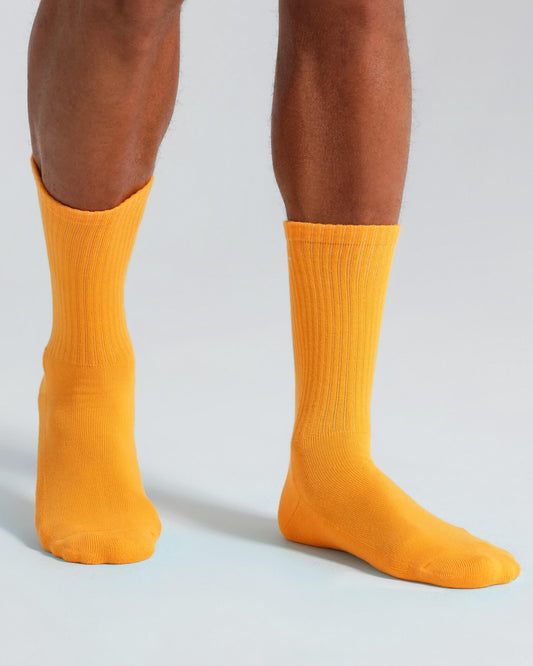 Training Camp Socks